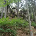 V Ceskem Raji U Prachovskych Skal - Mala Pro 4 - Velka Pro Az 7 Osob - V Soukromi Lodge
