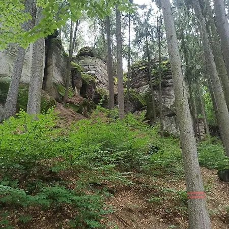 V Ceskem Raji U Prachovskych Skal - Mala Pro 4 - Velka Pro Az 7 Osob - V Soukromi Lodge