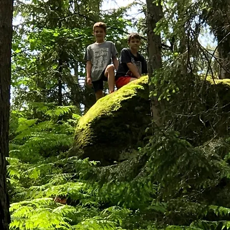 V Ceskem Raji U Prachovskych Skal - Mala Pro 4 - Velka Pro Az 7 Osob - V Soukromi Lodge *